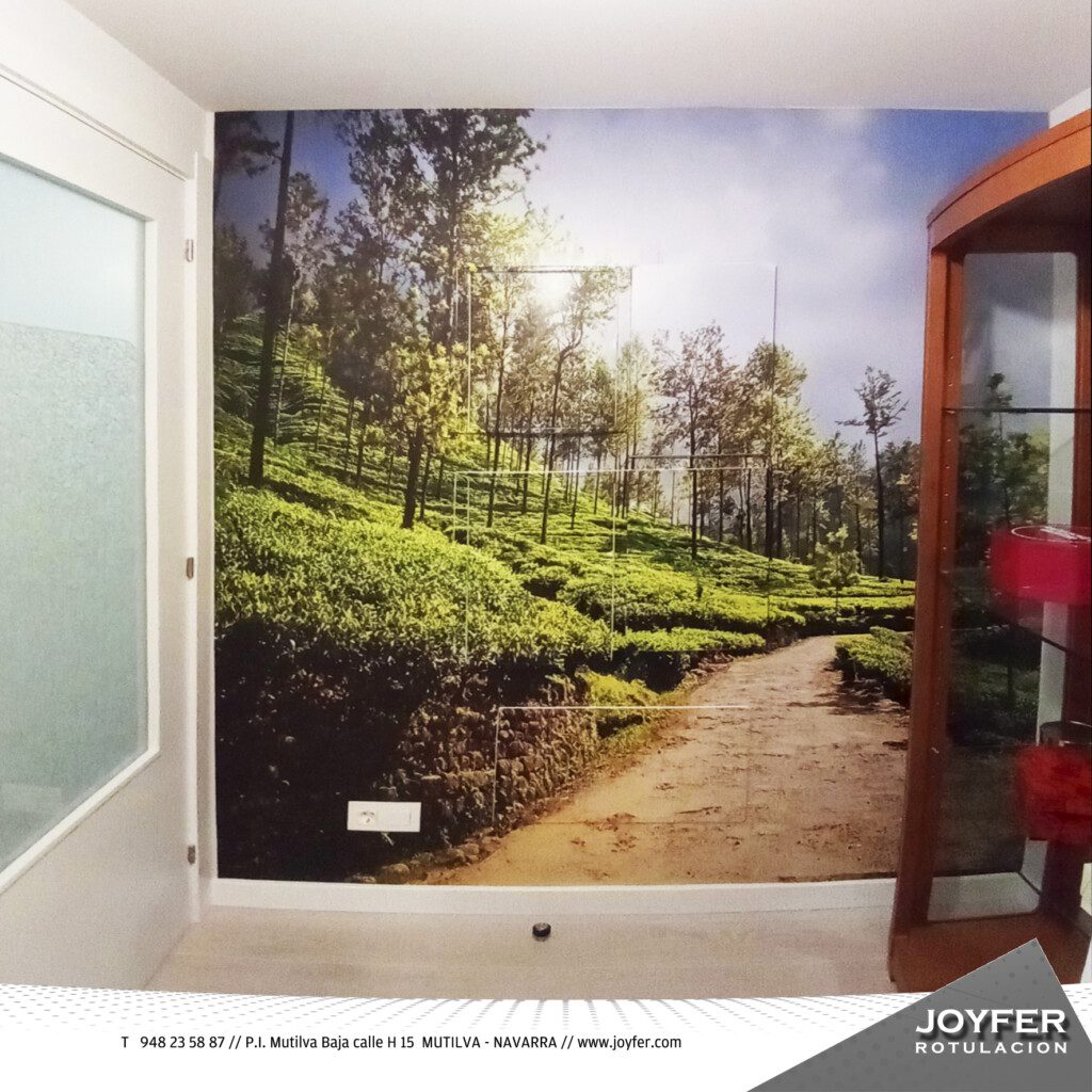 JOYFER ROTULACION PAMPLONA VINILO PARED OCULTAR CUADRO LUCES